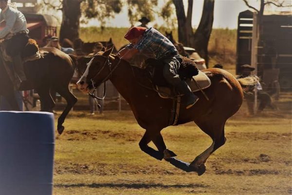 Trenque Lauquen. 148º Aniversario de la ciudad: El sábado 13 de abril se celebrara la tradicional prueba de riendas