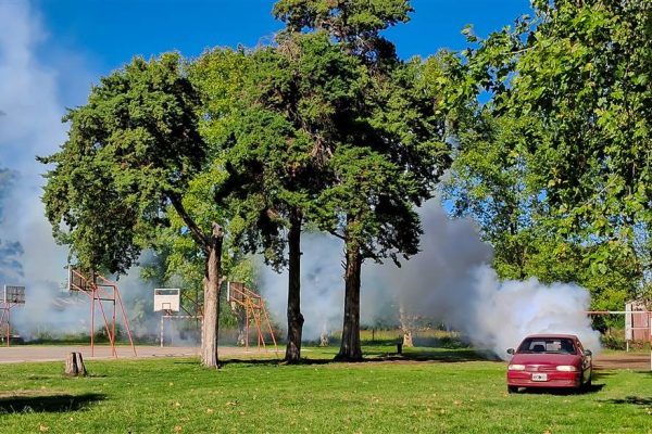 Junín. Dengue: El Municipio de Junín profundiza las acciones preventivas